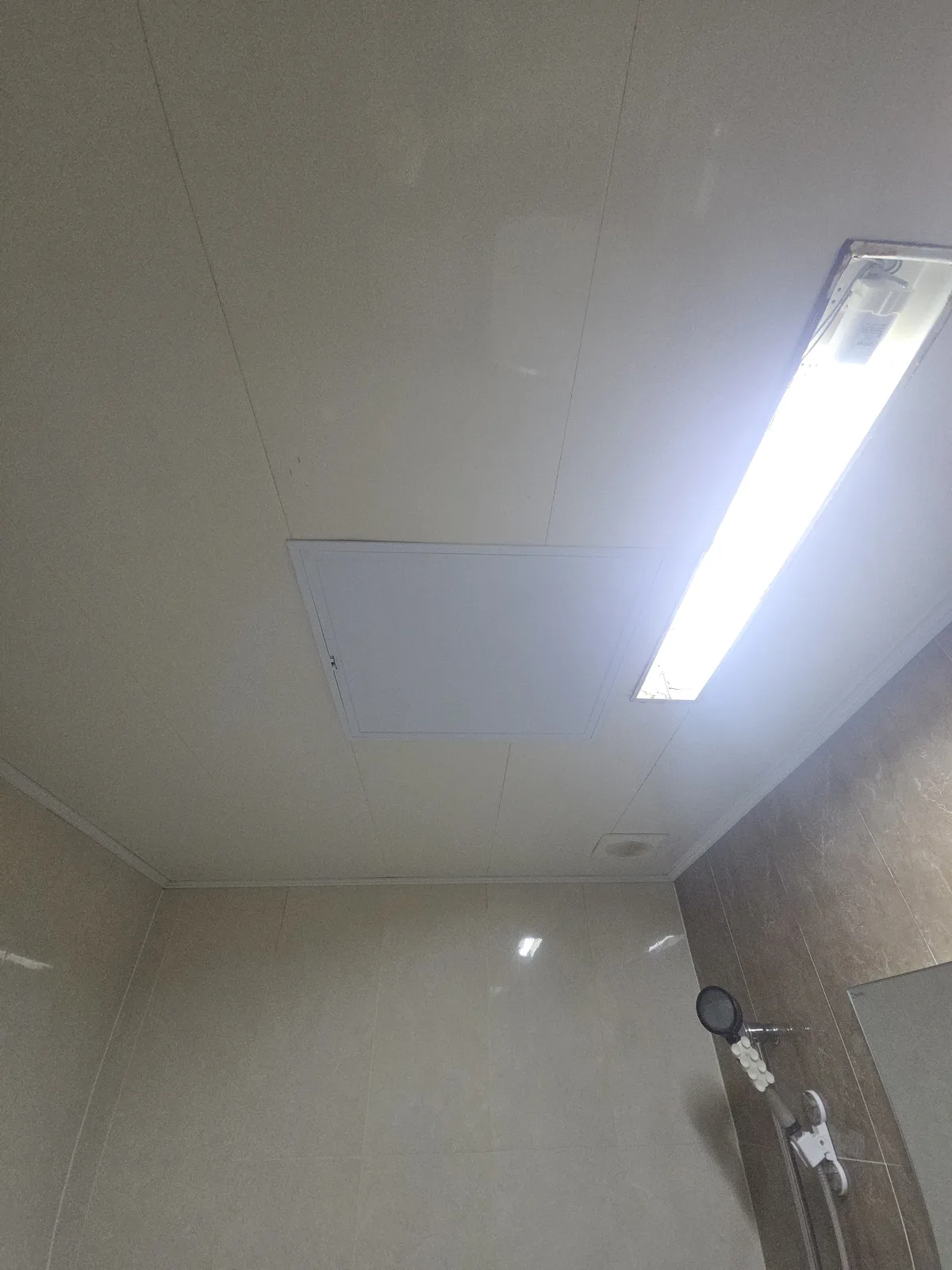 욕실 천장이 흰색 PVC 패널로 마감돼 있고 그 위에 사각형 점검구가 설치돼 있다.