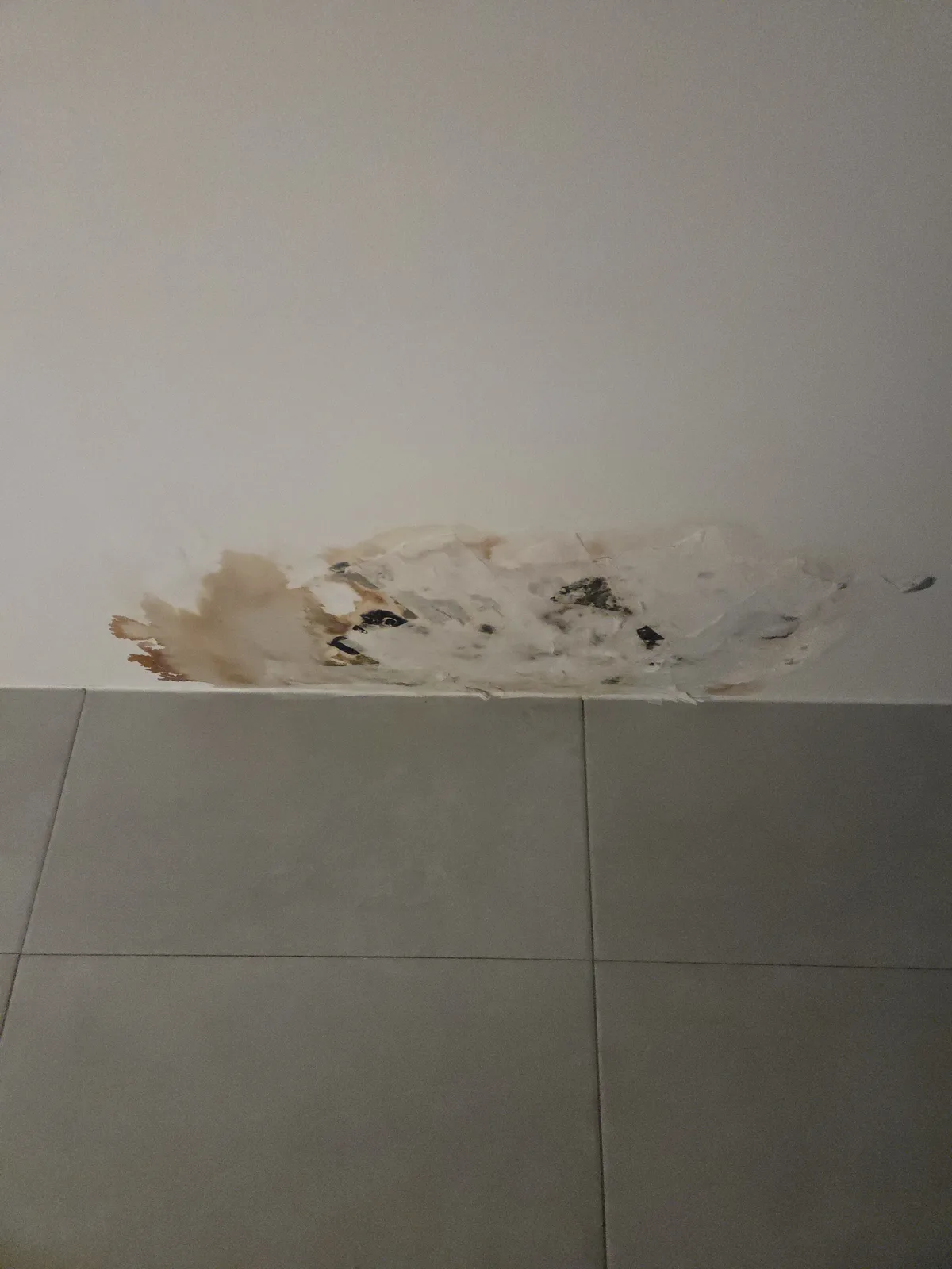 흰색 천장과 벽이 만나는 모서리 부분에 갈색 얼룩과 검은 곰팡이 반점이 넓게 퍼져 있다.